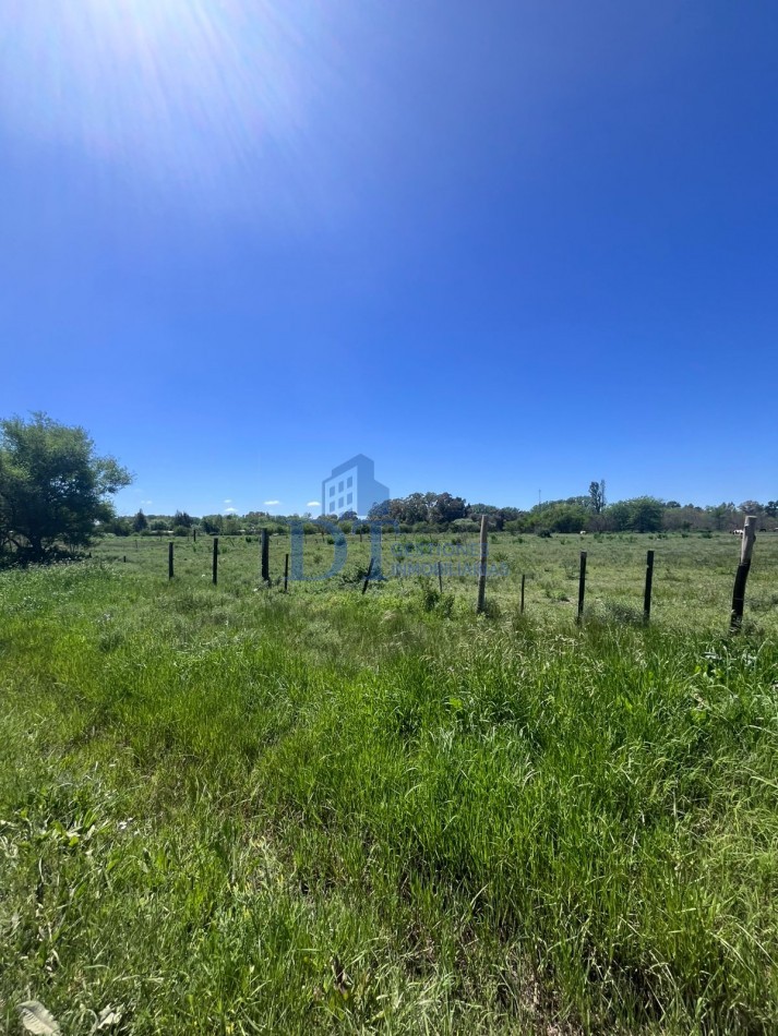Oportunidad de inversion 46.000 m2 en San Vicente