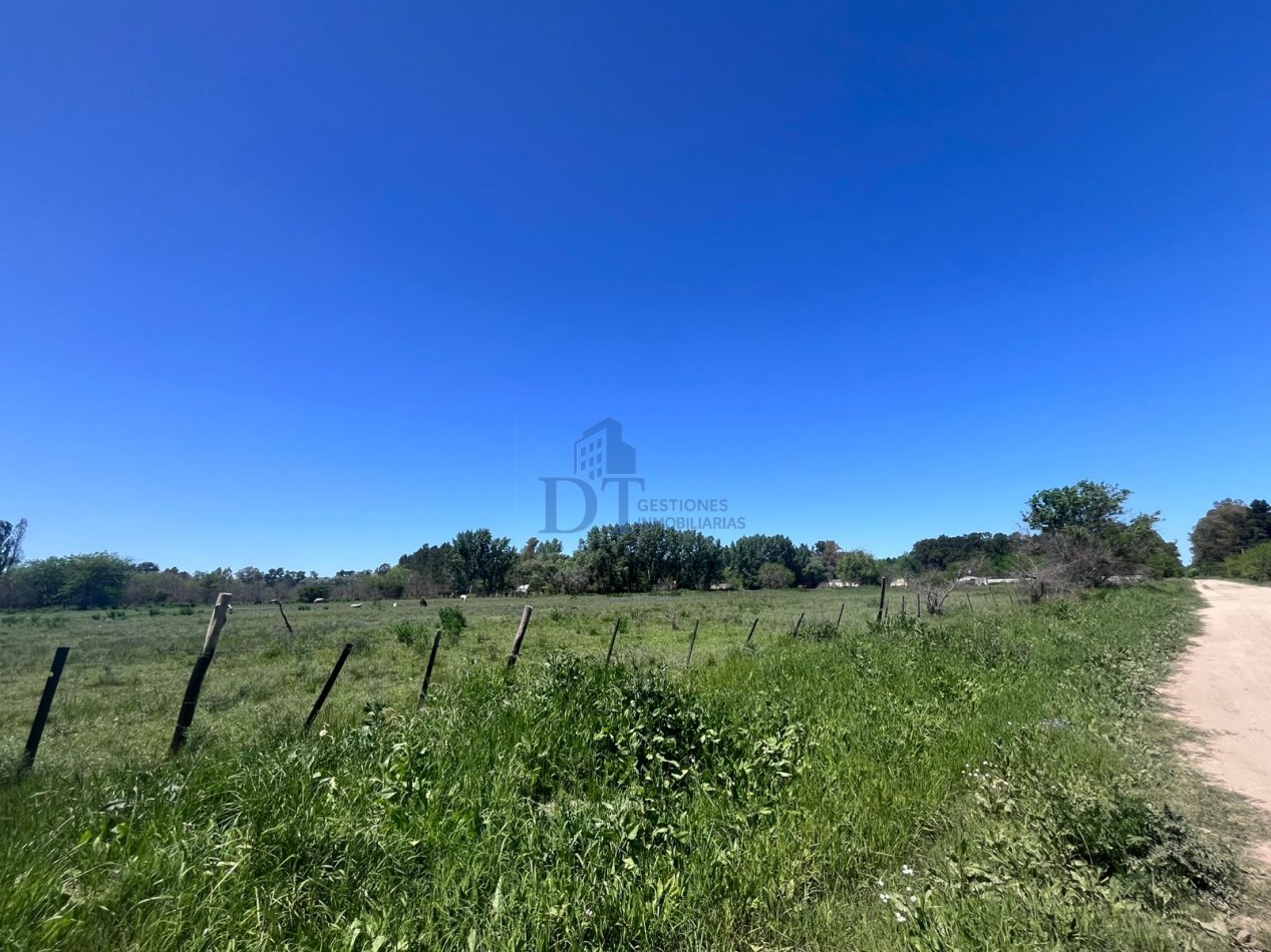 Oportunidad de inversion 46.000 m2 en San Vicente