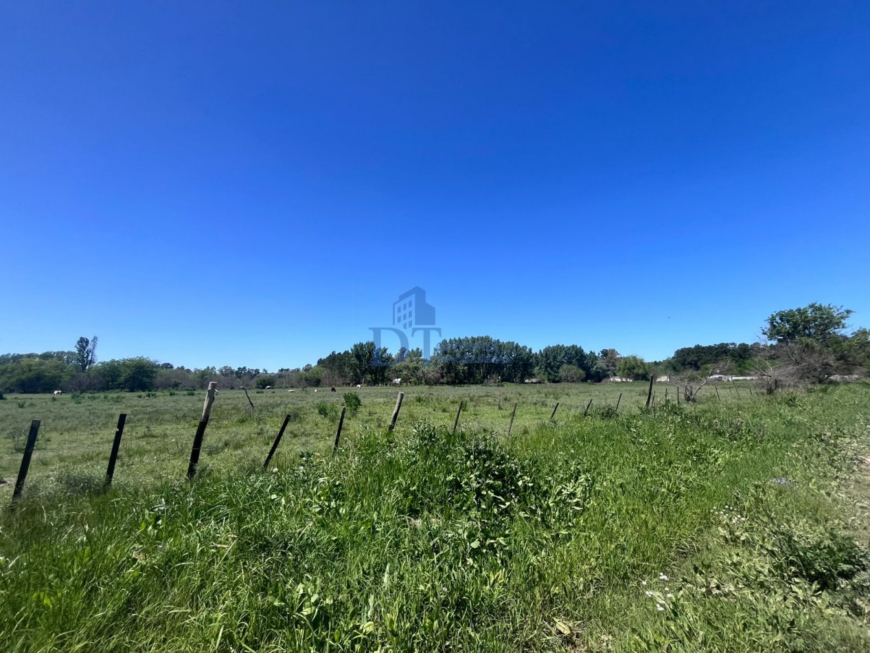 Oportunidad de inversion 46.000 m2 en San Vicente