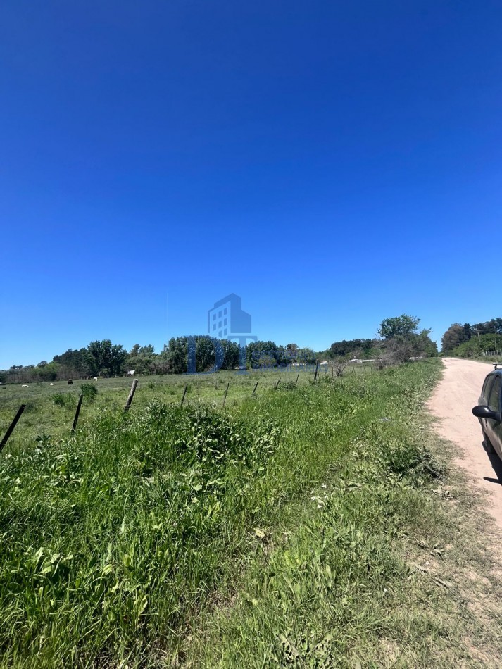 Oportunidad de inversion 46.000 m2 en San Vicente