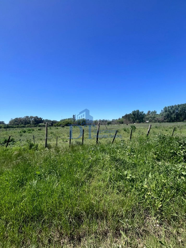 Oportunidad de inversion 46.000 m2 en San Vicente