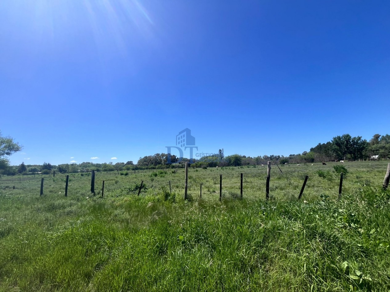Oportunidad de inversion 46.000 m2 en San Vicente
